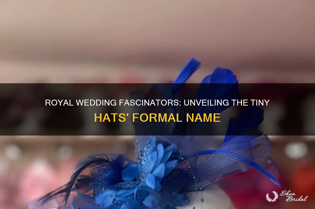 what are the small hats at the royal wedding called