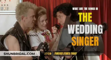 The Nostalgic Wedding Singer: Songs to Remember