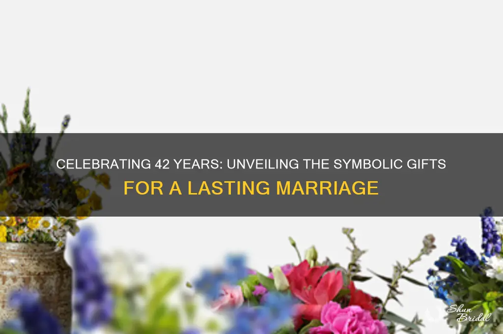 what are the symbols for a 42nd wedding anniversary