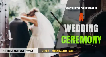 Essential Wedding Ceremony Songs: Three Timeless Tracks for Your Big Day
