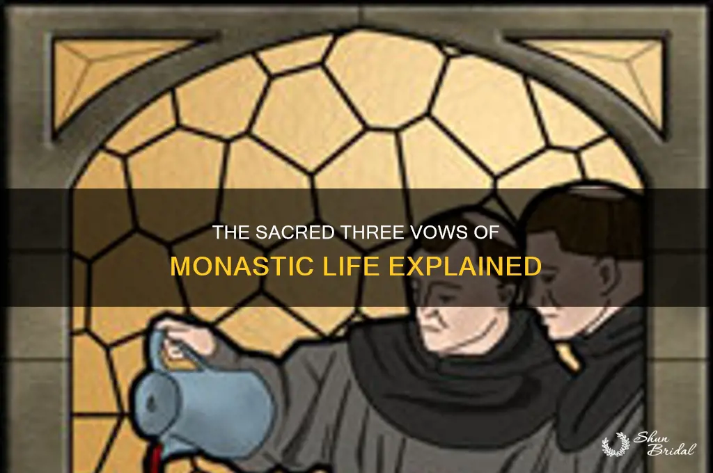 what are the three vows of the monastoc life