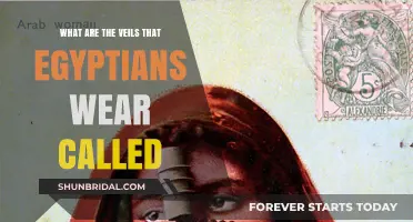 Understanding the Traditional Egyptian Veil: Niqab, Hijab, and Burqa Explained