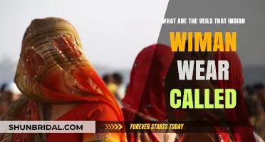 Unveiling Tradition: Names of Veils Worn by Indian Women