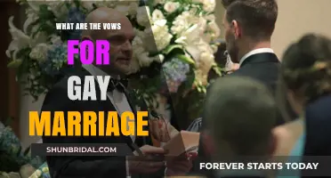 Celebrating Love: Understanding the Vows for Gay Marriage Ceremonies