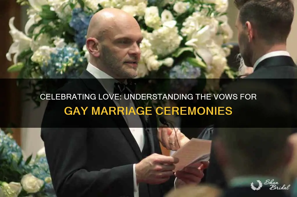 what are the vows for gay marriage