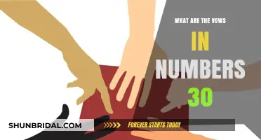 Understanding the Sacred Commitments in Numbers 30: The Vows Explained