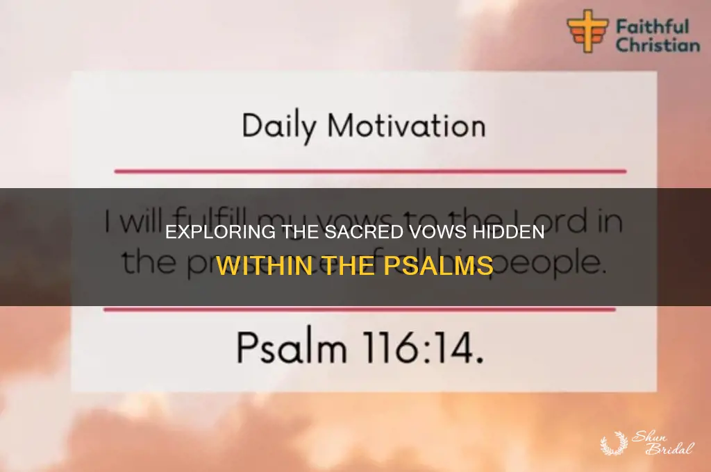 what are the vows in the psalms