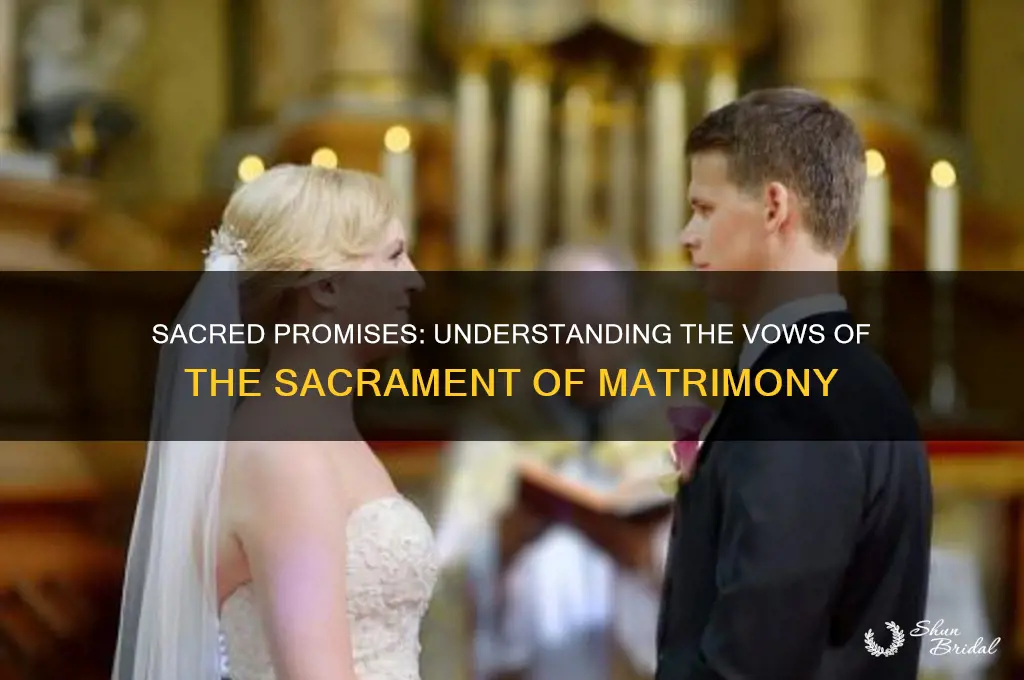 what are the vows made in the sacrament of matrimony
