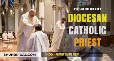 Understanding the Sacred Vows of a Diocesan Catholic Priest