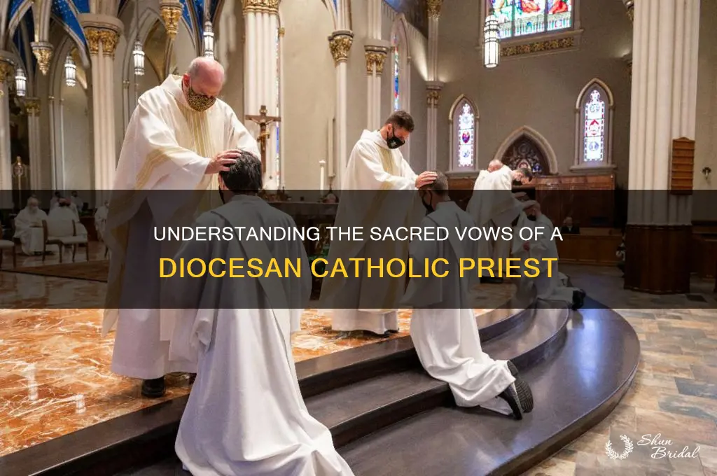 what are the vows of a diocesan catholic priest