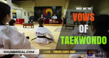 Taekwondo's Sacred Vows: Unlocking the Principles of Discipline and Respect