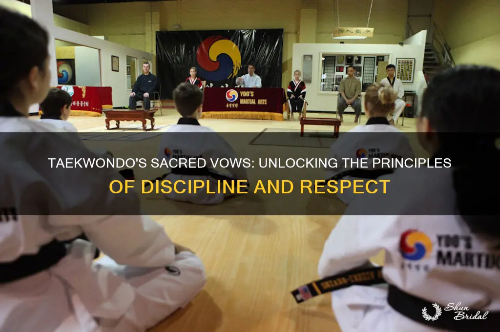 what are the vows of taekwondo