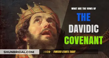 Understanding the Divine Promises: Exploring the Vows of the Davidic Covenant