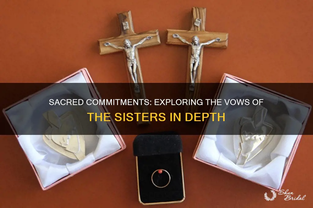 what are the vows of the sisters
