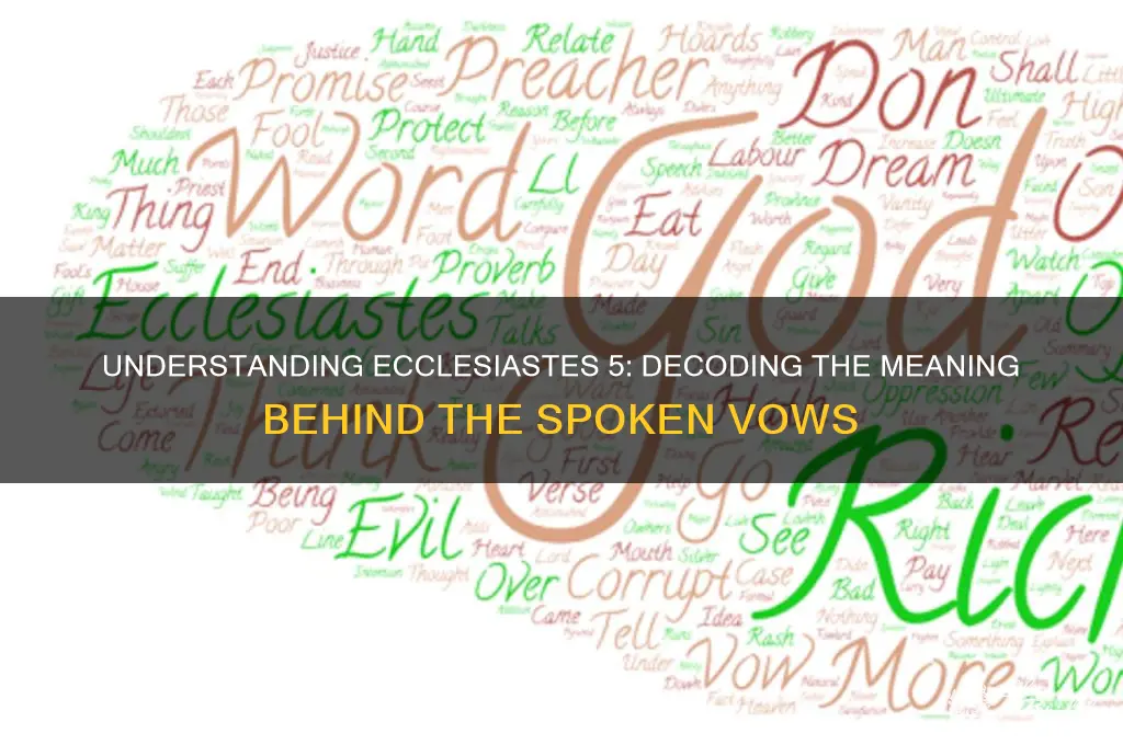 what are the vows that ecclesiastes 5 is talking about
