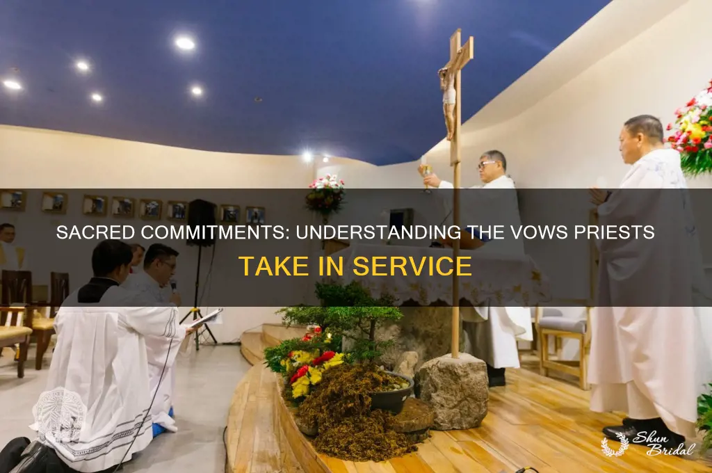 what are the vows the priests have to take