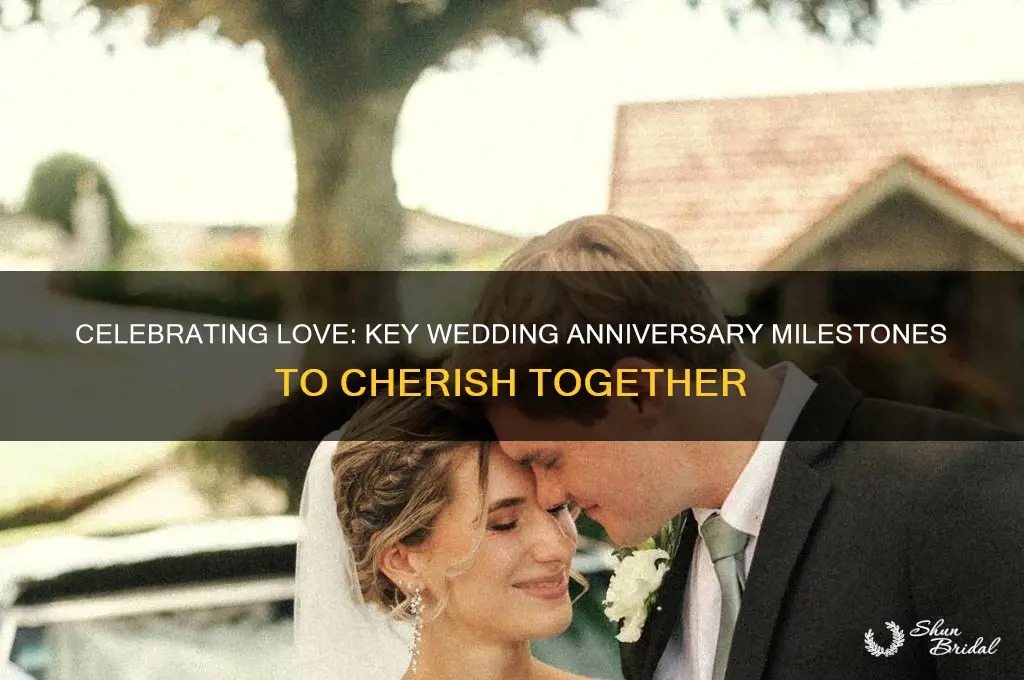 what are the wedding anniversary milestones