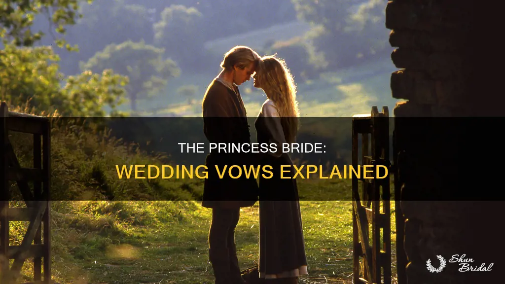 what are the wedding vows from the princess bride