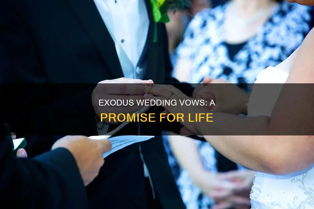 what are the wedding vows in exodus