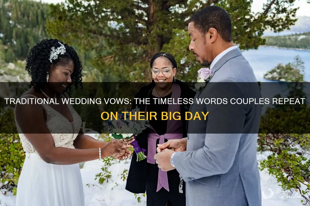 what are the wedding vows you repeat