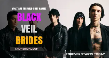 Unveiling the Wild Ones: Black Veil Brides' Characters Explained