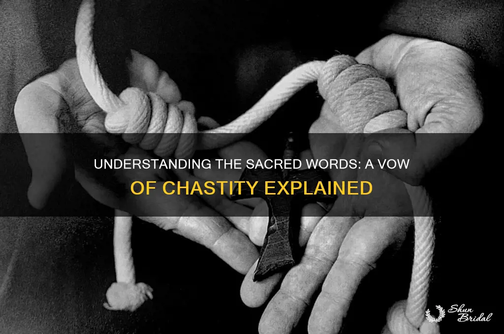 what are the words to a vow of chastity