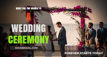 Essential Wedding Ceremony Words: Crafting Your Perfect Vows and Rituals