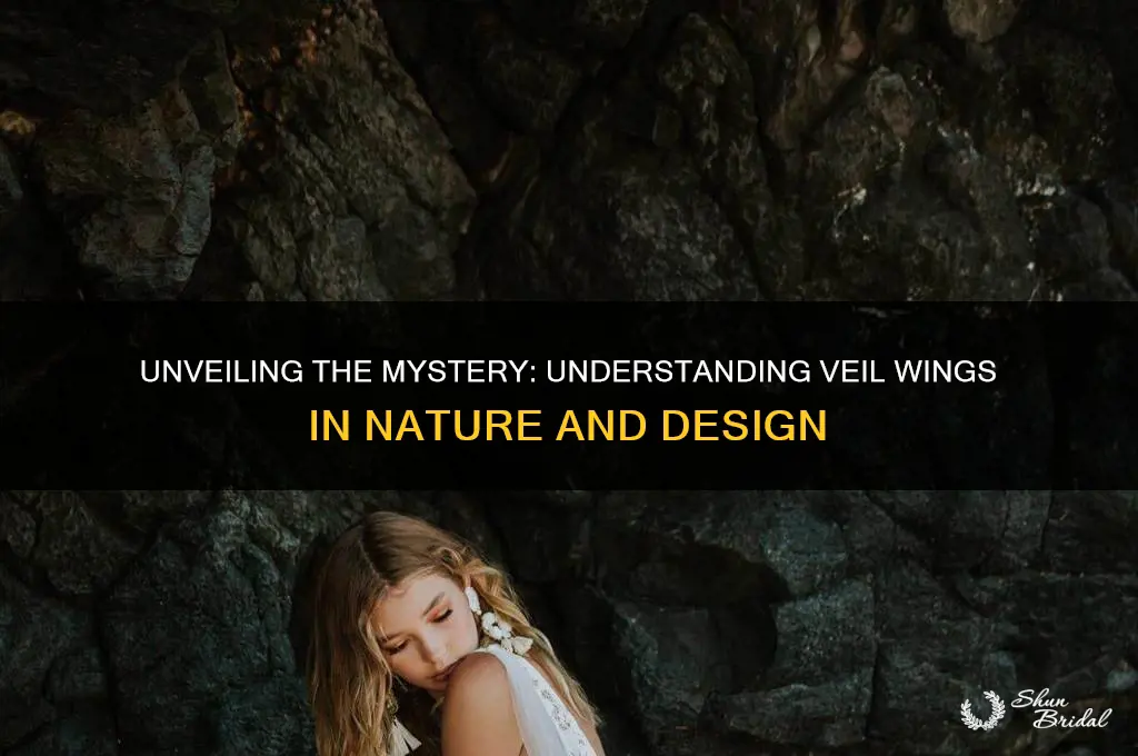 what are veil wings