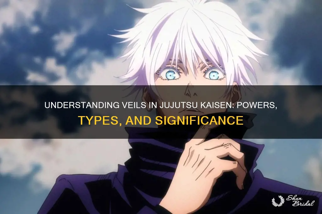 what are veils in jjk