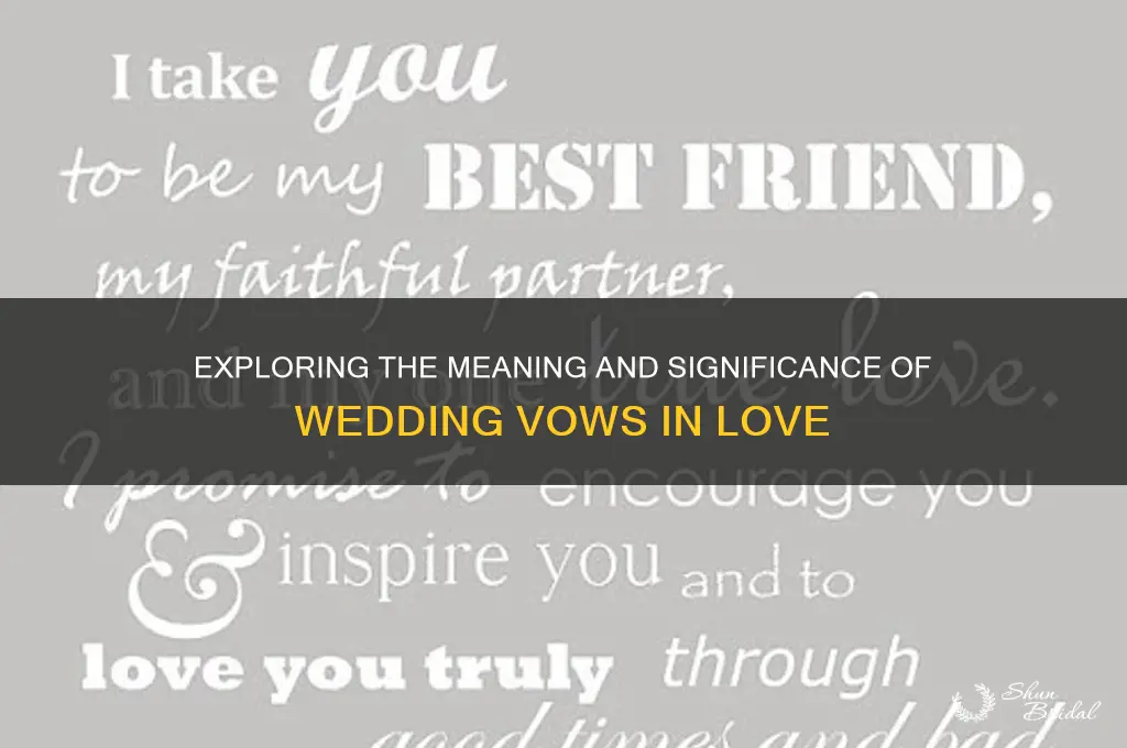 what are vows like