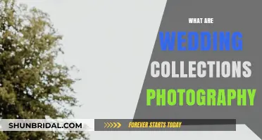 Wedding Collections Photography: Capturing Your Special Moments
