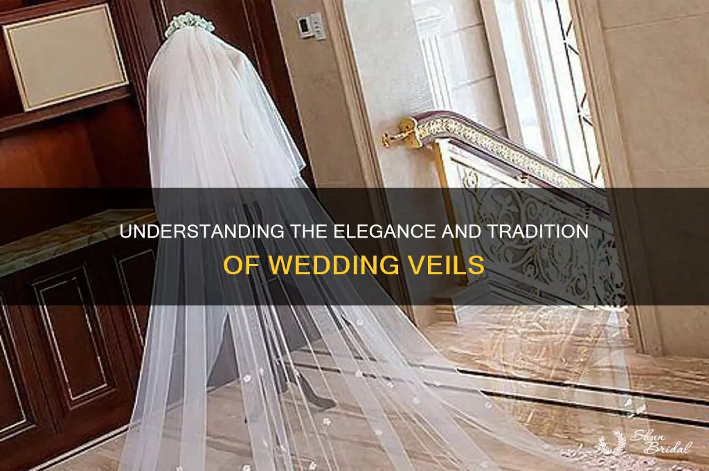 what are wedding veils