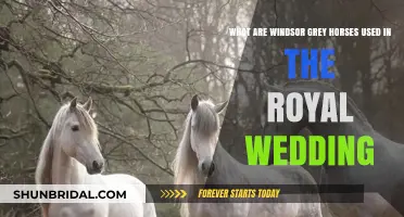 Windsor Grey Horses: Royal Wedding Tradition and Elegance Explained