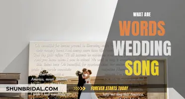 Romantic Wedding Songs: Lyrics That Speak to Your Soul