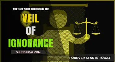 Veil of Ignorance: Fairness, Justice, and Moral Decision-Making Explored