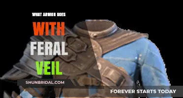 Feral Veil Armor Combinations: Top Builds for Optimal Synergy