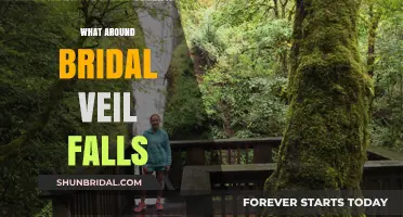 Exploring the Scenic Wonders Around Bridal Veil Falls