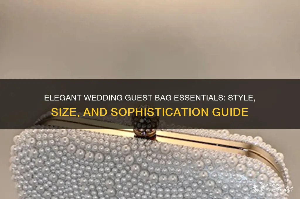 what bag for a wedding guest