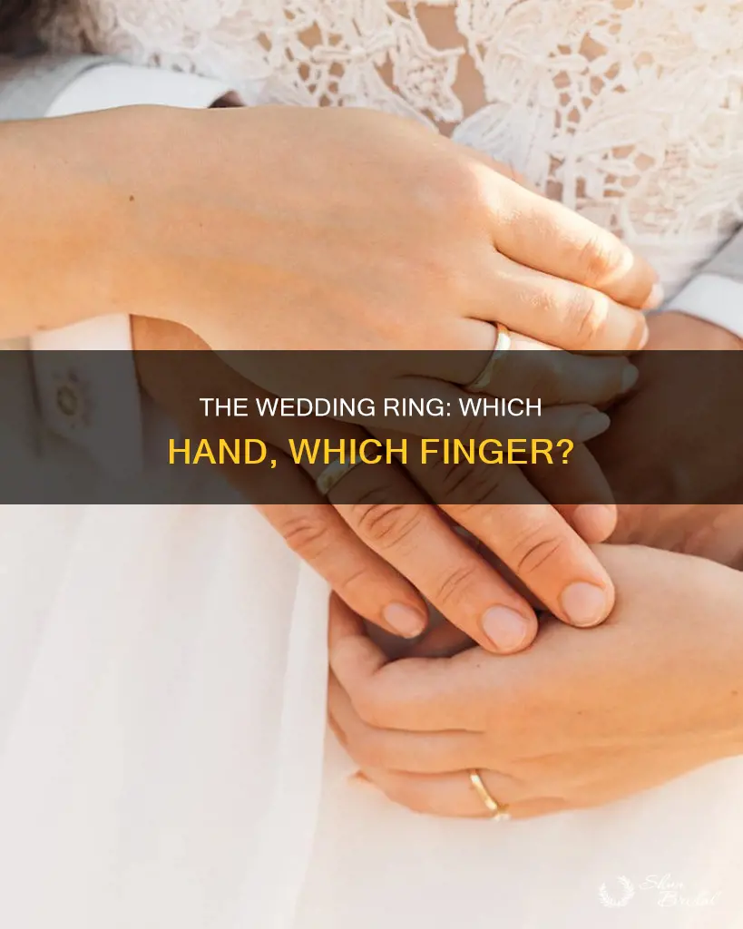 what band does the wedding ring go on