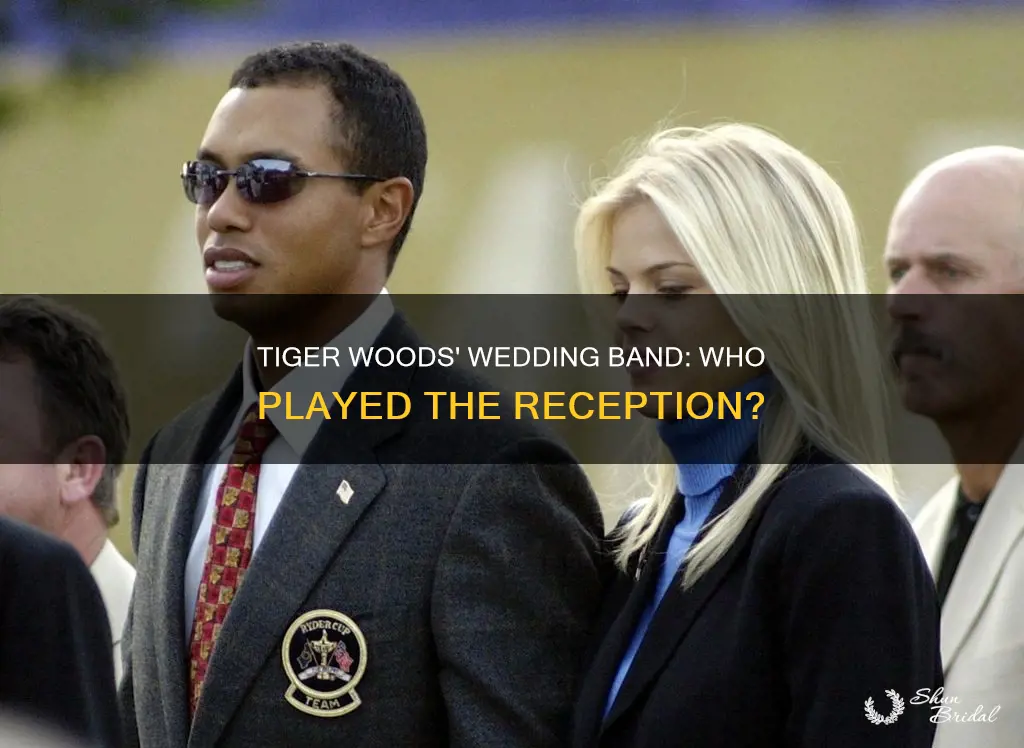 what band played at tiger woods wedding reception