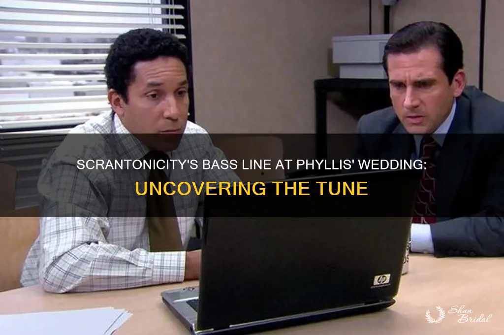 what bass is scrantonicity playing at phylis wedding