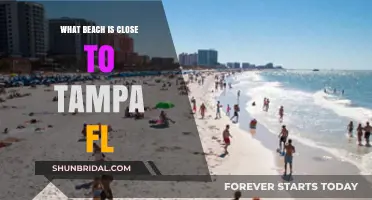 Discover the Closest Stunning Beaches Near Tampa, Florida