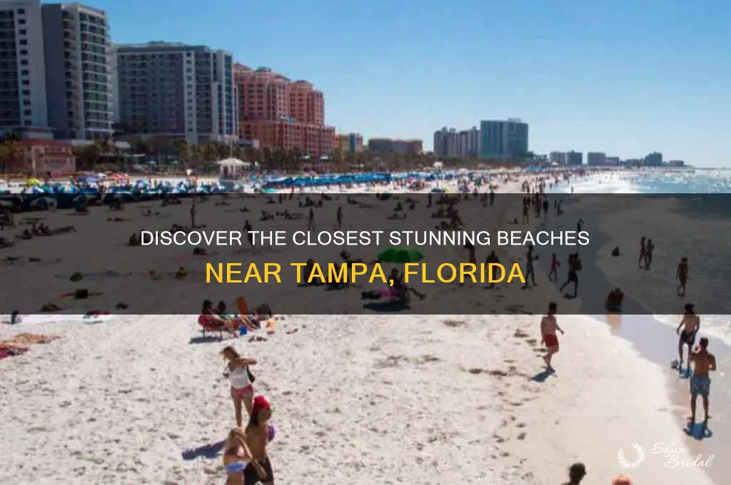 what beach is close to tampa fl