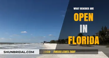 Discover Florida's Open Beaches: Your Ultimate Coastal Getaway Guide