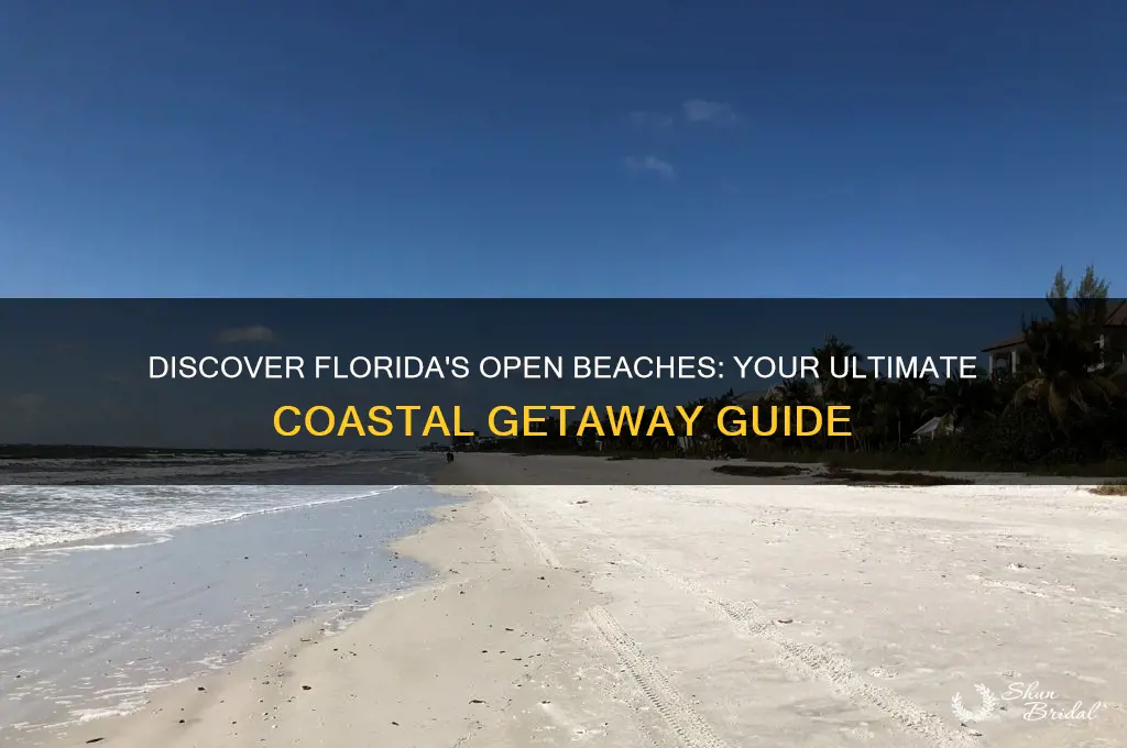 what beaches are open in florida