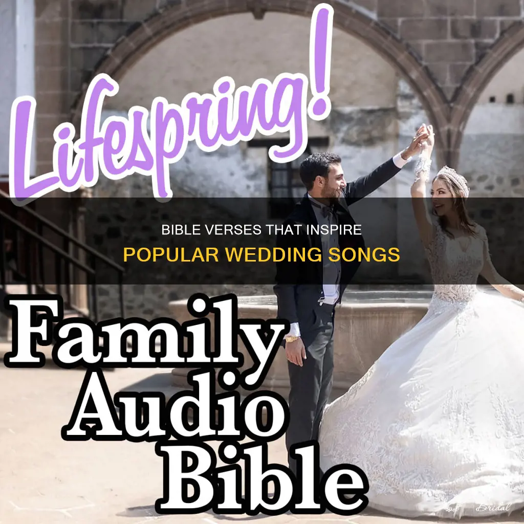 what bible vetses are used in the wedding song