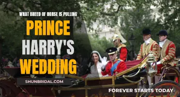 Royal Wedding: Horse-Drawn Carriage for the Prince