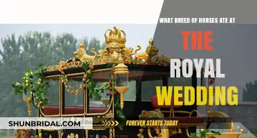 Royal Wedding Horses: Unveiling the Breed That Graced the Ceremony
