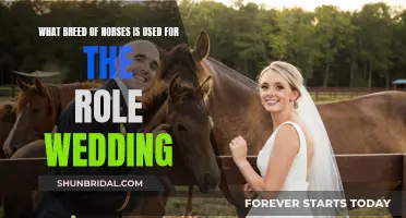 White Horses: A Wedding Tradition