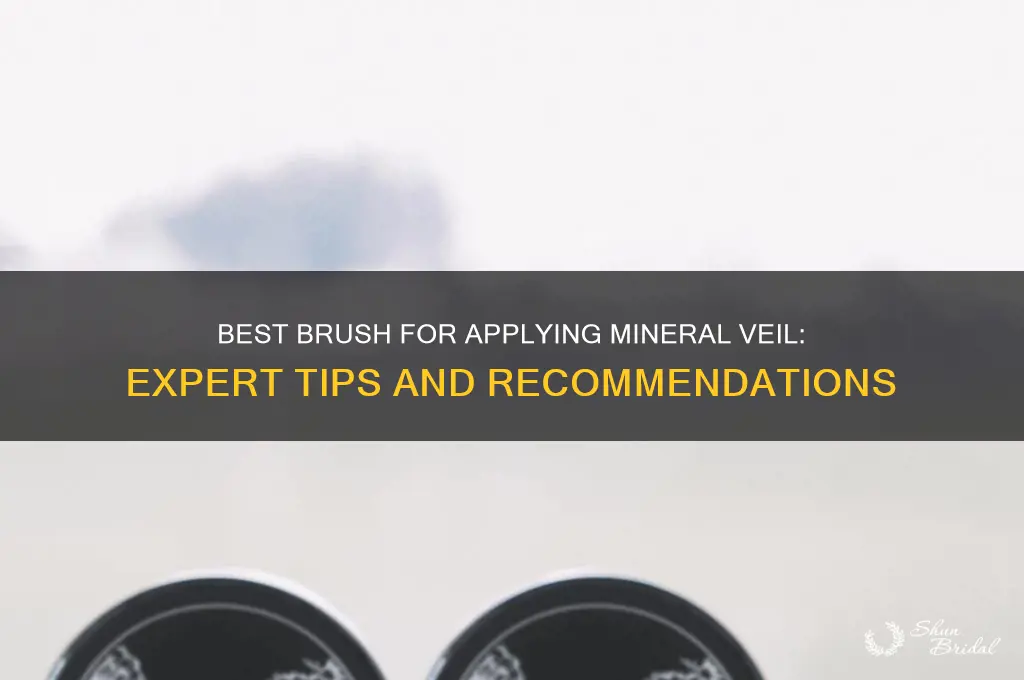 what brush do you use for mineral veil